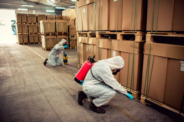 Best Pest Removal Services  in Canyon Creek, WA