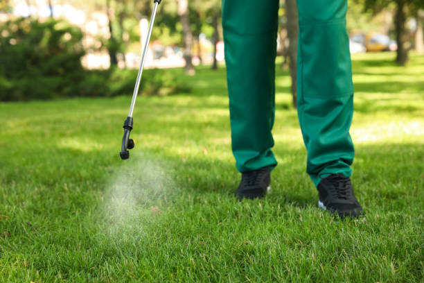 Best Local Pest Control Services  in Canyon Creek, WA