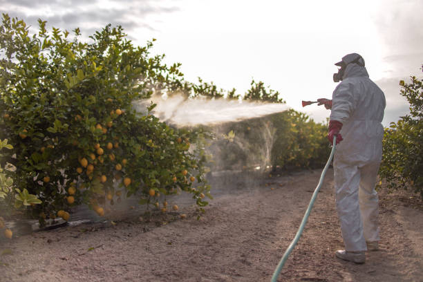Best Mosquito Control Services  in Canyon Creek, WA