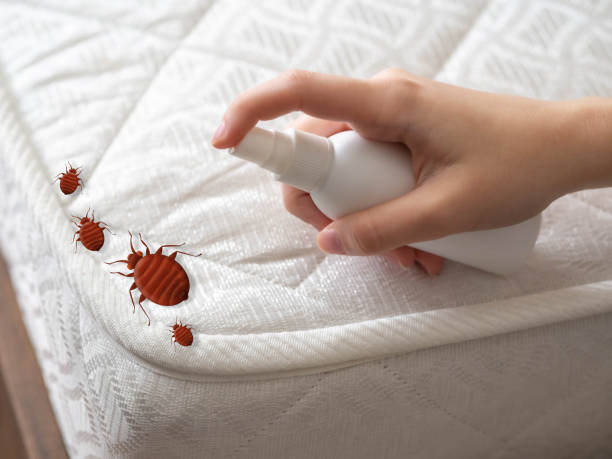 Best Commercial Pest Control Services  in Canyon Creek, WA